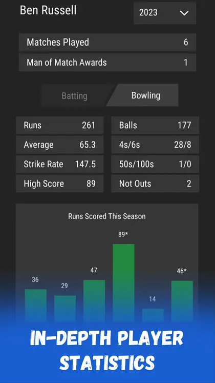 Página de estatísticas de um jogador de críquete em Wicket Cricket Manager